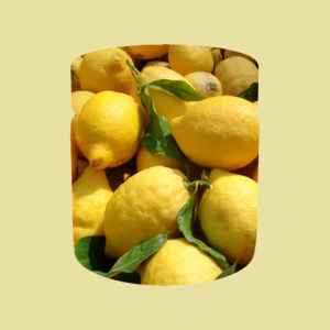 Crema Spalmabile al Limoncello 200gr - immagine 3